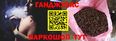 прущие грибы Гатчина