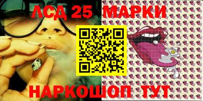 прущие грибы Гатчина