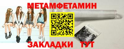 прущие грибы Гатчина