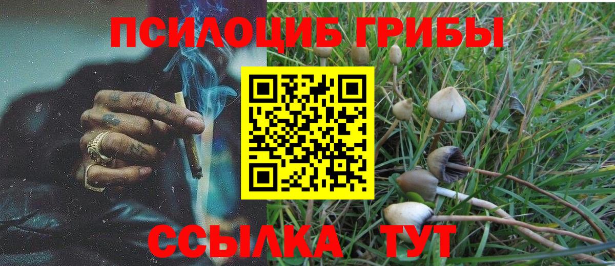 Галлюциногенные грибы мицелий Мелеуз