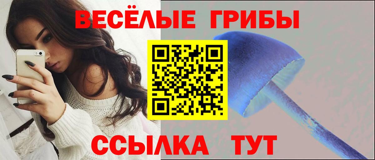 Мелеуз  Галлюциногенные грибы Magic Shrooms  Вход с VPN 